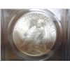 Image 2 : 1923 PEACE SILVER DOLLAR PCGS MS62