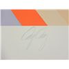Image 3 : Doug Danz Signed Abstract Print Proof Phoenix V