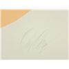 Image 3 : Doug Danz Signed Abstract Proof Print Canyon IV