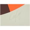 Image 3 : Doug Danz Signed Abstract Mountains Print Proof Terra V