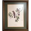 Image 1 : Ray Harm Print Cedar Waxwing Nature Birds