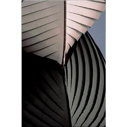 John Peer Bonded Art Print Admiring its Reflection