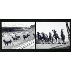 2 Photos - Horse Racing