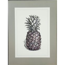Caroline Church Pineapple Still Life Art Print