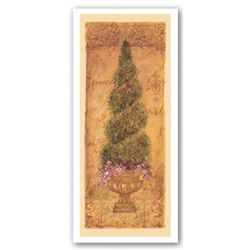 Shari White Italian Cypress Art Print