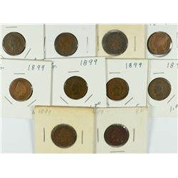 (10) 1899 INDIAN HEAD CENTS