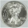 Image 1 : 1999 SILVER AMERICAN EAGLE