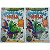 Image 1 : SPIDERMAN AND THE HULK (2 COPIES)