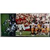 Image 1 : 3 AUTOGRAPHED 8 x 10's: Chris Hanburger, RUSS FRANCIS SAN FRANCISCO 49ERS 8X10,