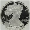 Image 2 : 2012 PROOF SILVER AMERICAN EAGLE NGC PF-70 UC