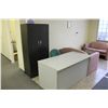 Image 2 : CONTENTS OF RECEPTION AREA INCLUDING: COUCHES, DESK, CABINET, CHAIR AND COFFEE TABLE