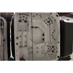 DIVINE SPA 5 PERSON HOT TUB, STERLING SILVER INTERIOR, BROWN CABINET, OZONE, 2 PUMPS - 5.HP,