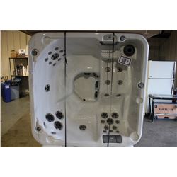 DIVINE SPA 5 PERSON HOT TUB, STERLING SILVER INTERIOR, BROWN CABINET, OZONE, 2 PUMPS - 5HP, 2SP