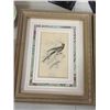 Image 2 : Set of 4 Framed Bird Prints (9.5" X 11.75")