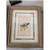 Image 3 : Set of 4 Framed Bird Prints (9.5" X 11.75")