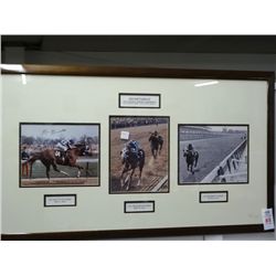 Framed Photo Of Triple Crown Winner Secretariat