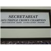 Image 3 : Framed Photo Of Triple Crown Winner Secretariat