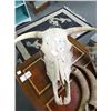 Image 1 : Steer Skull, Powder Horns