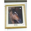 Image 1 : "Cigar" By Seattle Slew Print