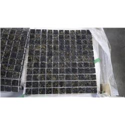 12 BOXES APPROX 120 PCS 12X12 UBATUBA 1"SQAURES MOSAIC RETAIL 2874.00 AT 23.95 PER SQ FT