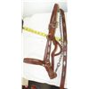 Image 2 : Silver Show Halter