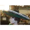 Image 3 : Mexican Sombrero