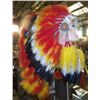 Image 5 : Native American Headdress