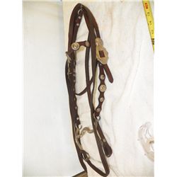 New Leather Bridle