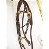Image 4 : New Leather Bridle