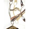 Image 6 : New Leather Bridle