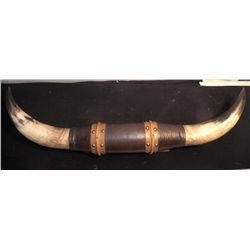 Vintage set Steer Horns