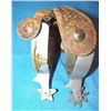 Image 2 : Steer Head Spurs