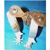 Image 3 : Steer Head Spurs