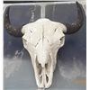 Image 1 : Buffalo skull Sculpture