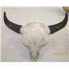 Image 3 : Buffalo skull Sculpture