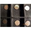 Image 3 : Indian Head Pennies