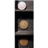 Image 6 : Indian Head Pennies