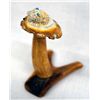 Image 1 : Zuni Antler Frog and Toadstool Fetish - Unkestine