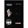Image 1 : 5 Zuni Sterling Multi Stone Rings
