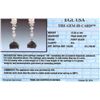 Image 7 : 18KT White Gold 16.03ctw Black Diamond Earrings