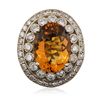 Image 3 : 14KT White Gold 15.39ct Citrine and Diamond Ring