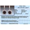 Image 7 : 14KT White Gold 5.18ctw Black Diamond Earrings