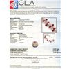 Image 7 : 14KT White Gold 15.67ctw Ruby and Diamond Bracelet