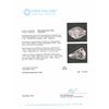 Image 6 : 14KT White Gold 2.82ctw Diamond Ring