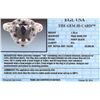 Image 7 : 14KT White Gold 1.75ctw Black Diamond Ring