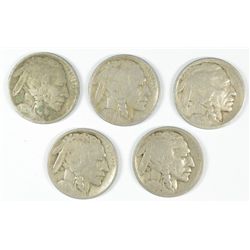 (5) 1913 II BUFFALO NICKELS