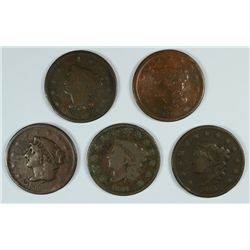 (5) LARGE CENTS (31, 35, 39, 40, 42)