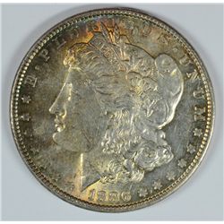 1886 MORGAN DOLLAR CH BU (NICE TONING)