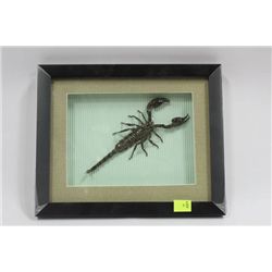 FRAMED SCORPION