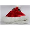 Image 1 : BOX OF SANTA HATS